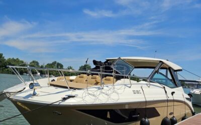 Sea Ray Sundancer 320