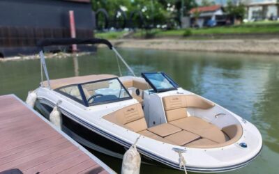 Sea Ray 19 SPX